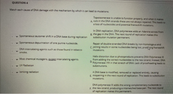 QUESTION 4 Match each cause of DNA damage with the mechanism by which it can lead to mutations. Topoisomerase is unable to fu