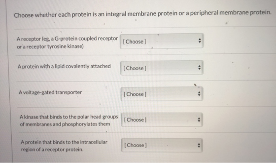 Choose whether each protein is an integral membrane protein or a peripheral membrane protein. A receptor (eg, a G-protein cou