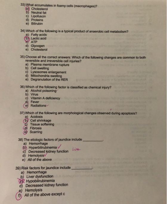 33) What accumulates in foamy cells (macrophages)? a) Cholesterol 5) Neutral fat c) Lipofuscin d) Proteins e) Bilirubin 34) W