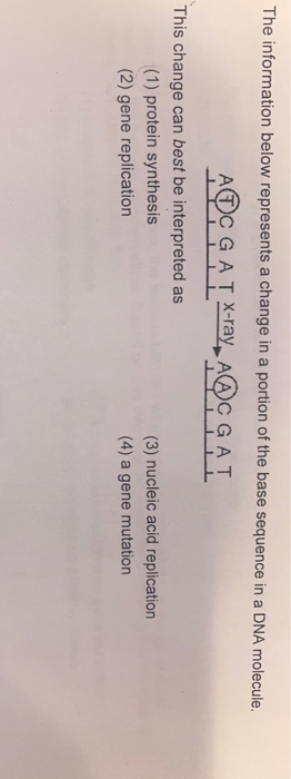 The information below represents a change in a portion of the base sequence in a DNA molecule. AOC G A I x-ray, A@CGAT This c