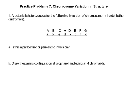 Practice Problems 7: Chromosome Variation in Structure 1. A petunia is heterozygous for the following inversion of chromosome