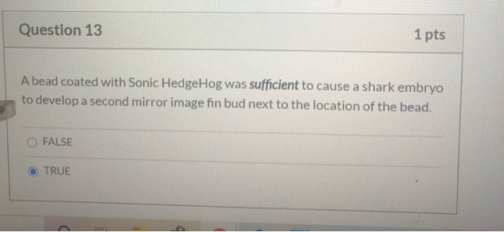 Question 13 1 pts A bead coated with Sonic Hedgehog was sufficient to cause a shark embryo to develop a second mirror image f
