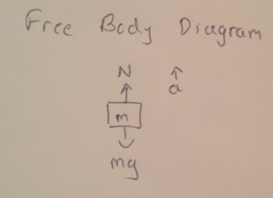 Free Body Diagram