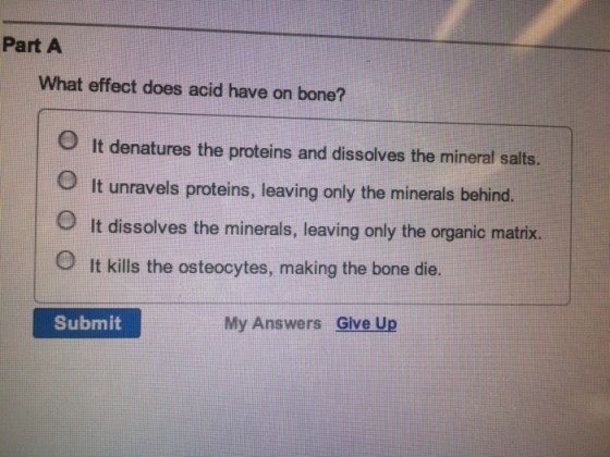 Part A What effect does acid have on bone? It denatures the proteins and dissolves the mineral salts. O lt unravels proteins, leaving only the minerals behind. O It dissolves the minerals, leaving only the organic matrix. O It kills the osteocytes, making the bone die. Submit My Answers Give Up
