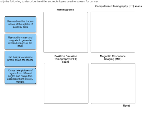 ssify the following to describe the different techniques used to screen for cancer. Computerized tomography (CT) scans Mammog