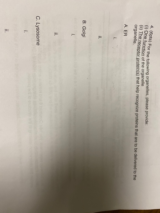 i opis) For the following organelles, please provide: 0 One function of the organelle (ine receptor protein(s) that help rec