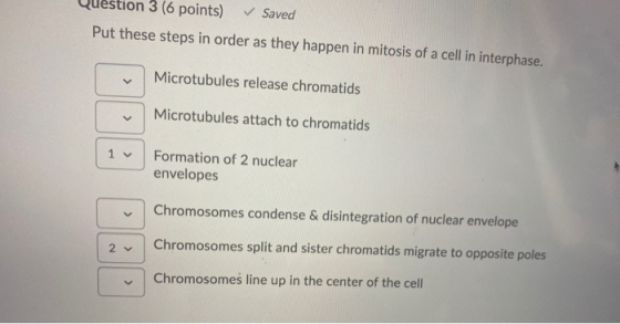 Question 3 (6 points) Saved Put these steps in order as they happen in mitosis of a cell in interphase. Microtubules release