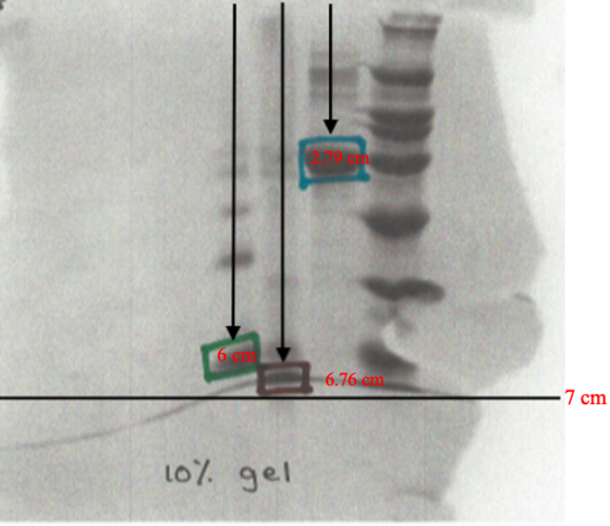 6.76 cm 7 cm 10% gel