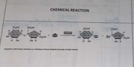 CHEMICAL REACTION