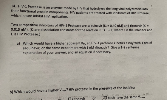 14. HIV-1 Protease is an enzyme made by HIV that hydrolyzes the long viral polyprotein into their functional protein componen