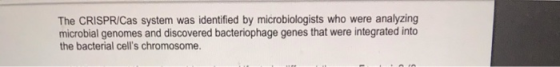 The CRISPR/Cas system was identified by microbiologists who were analyzing microbial genomes and discovered bacteriophage gen