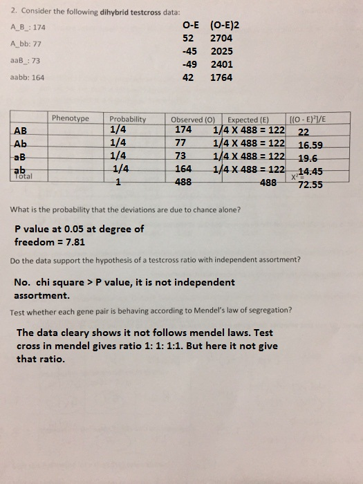 2. Consider the following dihybrid testcross data: A B: 174 A bb: 77 aaB 73 aabb: 164 O-E (O-E)2 52 2704 -45 2025 -49 2401 42 1764 Phenotype |Probability 1/4 1/4 1/4 1/4 bserved (O) | Expected (E) |[(О-E)VE 77 1/4 X 488122 16.59 164 1/4 x 488122 14.45 1_174 1/4 X 488-122-22. AB Ab aB ab 1/4 X 488 122 19.6 1 488-x7255 What is the probability that the deviations are due to chance alone? P value at 0.05 at degree of freedom 7.81 Do the data support the hypothesis of a testcross ratio with independent assortment? No. chi square>P value, it is not independent assortment. Test whether each gene pair is behaving according to Mendels law of segregation? The data cleary shows it not follows mendel laws. Test cross in mendel gives ratio 1: 1: 1:1. But here it not give that ratio.