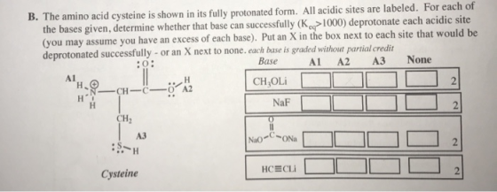 B. The amino acid cysteine is shown in its fully protonated form. All acidic sites are labeled. For each of the bases given,