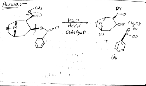 CH3 H2.0 (ij Catnlyat