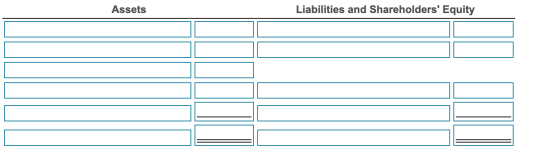 Assets Liabilities and Shareholders Equity