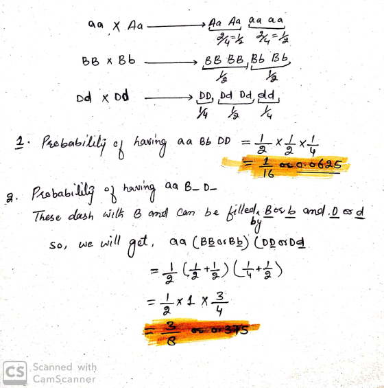 aa X Aa Aa Aa aa aa 346 3471 BB BB Bb Bb BB x Bb - Did x od DD, Dd Dd, dd, 2. Probability of having aa bb DD = 1/2 x 1/2 x 1
