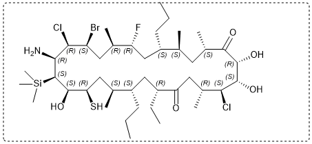 (R) (S) (R) (R) V (S) (S) (5) WOH (S) (R (S) () (R) ^ (R) (S)