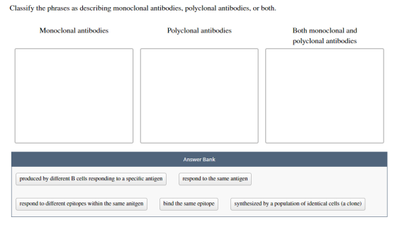 Classify the phrases as describing monoclonal antibodies, polyclonal antibodies, or both. Monoclonal antibodies Polyclonal an