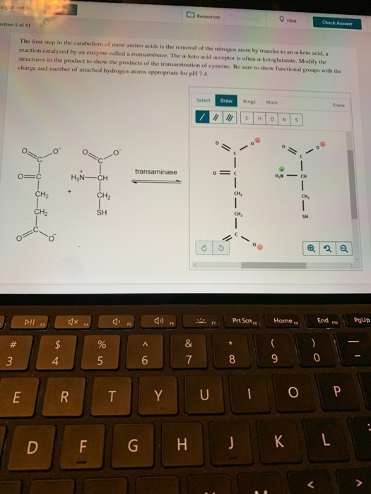 Check Answer ons of 41 The first step in the catabolism of most amino acids is the removal of the nitrogen atom by transfer t