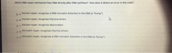 Which DNA repair mechanism fixes DNA directly after DNA synthesis? How does it detect an error in the code? Excision repair,