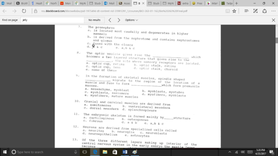 E Studi E MlyN M extra l Free D Inter l Tadpo EE B blackboard co m/bboswebdav/pid 1975494 dt content rid 31991291 1/courses/BIO-263-01-162/Bio9620263%20Final option Find on page jelly No results The pronephros is located most caudally and degenerates in higher mammals b. is derived from the nephrotome and contains nephrostomes and glomus c. fuses with the cloaca The optic ves gives rise the becomes a two layered structure that gives rise to the which the site where sensory receptors are located. b. optic stalk retina a. optic cup retina c optic cup lens d. optic stalk choroid e none of these In the formation of skeletal muscles spindle shaped muscle and migrate to the region of the location of a fuse form masses. which form premuscle a mesenchyme myoblast b. myoblasts myotubes c. myoblasts Sarcomere e. myofibers nature muscles d. myofibers myoblasts 10. Cranial and cervical muscles are derived from a. somitoneres b. ventrolateral mee soderm c. dorsal mesoderm d. splanch nopleure 11. The embryonic skeleton is formed mainly by structure a cartilaginous b osteogenous c. a b a, b & c 12. Neurons are derived from specialized cells called a neurites neuroglia c. neuroblasts d. neuroepithelium e. astrocytes 13 of the three different layers making up interior of the central nervous system in the early embryo the E O Type here to search A 5.20 PM 4/25/2017