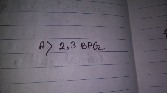 22 2,3 BPG