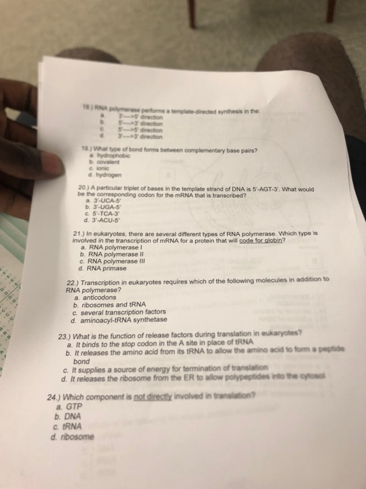 A r cted synthesis in the con rection direction 10.) What type of bond forms between complementary base pairs? a hydrophobic