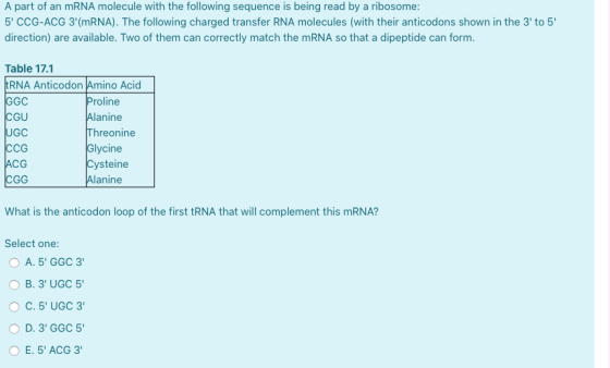 A part of an mRNA molecule with the following sequence is being read by a ribosome: 5 CCG-ACG 3 (mRNA). The following charge