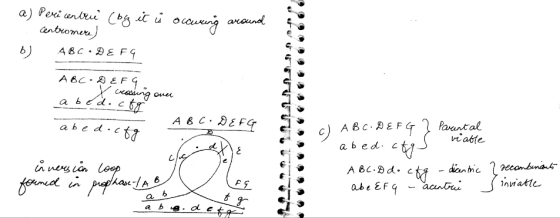 a) Peri centrie (bly it is occurring around . centromere) 48C.DEFG ABCDEFG X crossing over a bed.cto 1. a bed.cfg A B C D E F