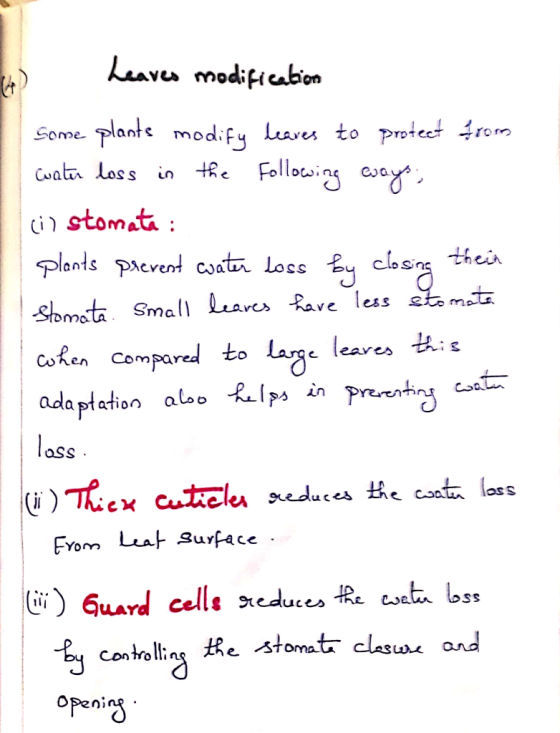 1. Leaves modification some plants modify leaves to protect from cater loss in the following ways, (i) stomata: plants preven