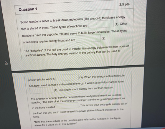 Question 1 2.5 pts Some reactions serve to break down molecules (like glucose) to release energy that is stored in them. Thes