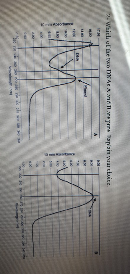 2- Which of the two DNAs A and B are pure. Explain your choice. 17.90 16.00 9.00 ON Phenol 14.00 DNA 12.00 10.00 10 mm Absorb