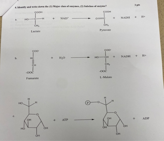 3 pts 4. Identify and write down the (1) Major class of enzymes, (2) Subclass of enzyme? соон соон нo a, -c + —н NAD* - о + =