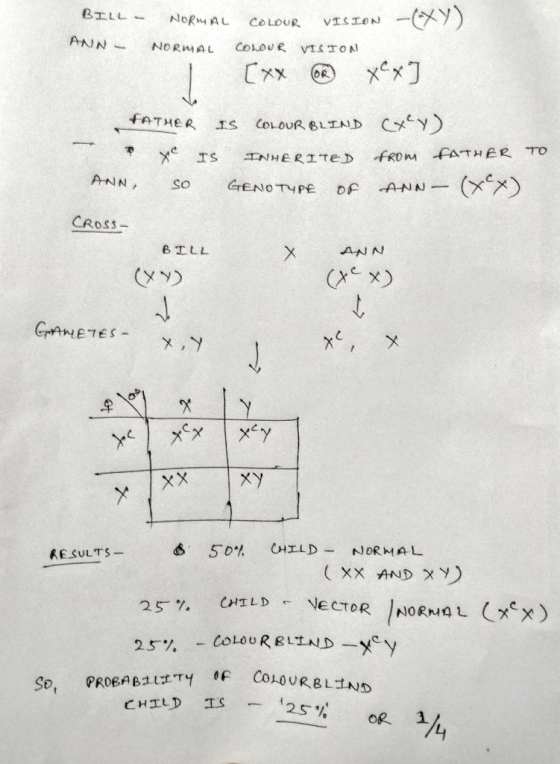 BILL NORMAL COLOUR VISION ANN NORMAL COLOUR VISION . [xx D xx] FATHER IS COLOUR BLIND Cxey) IS INHERITE) from FATHER TO ANN,