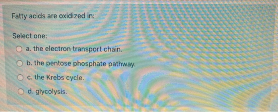 Fatty acids are oxidized in: Select one: O a. the electron transport chain. b. the pentose phosphate pathway. O c. the Krebs