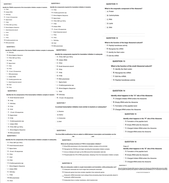 QUESTION 1 QUESTION 5 QUESTION 11 Identify the components required for translation initiation in bacteria What is the enzymat