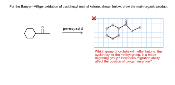 For the Baeyer-Villiger oxidation of cyclohexyl methyl ketone, shown below, draw the main organic product. acid Which group of cyclohexyl methyl ketone, the cyclohexyl or the methyl group, is a better migrating group? How does migration ability affect the position of oxygen insertion?