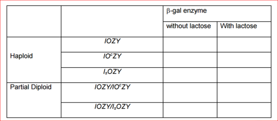 Haploid Partial Diploid IOZY IOCZY ISOZY IOZYWIOCZY IOZYISOZY B-gal enzyme without lactose With lactose
