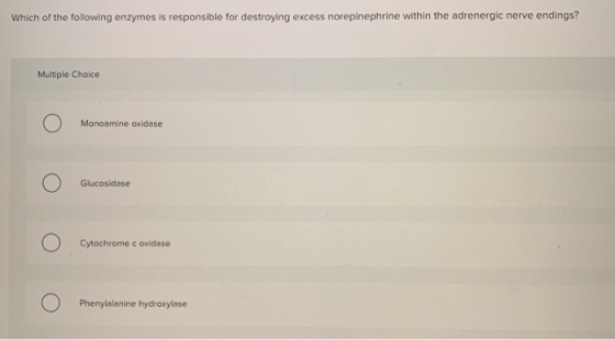 Which of the following enzymes is responsible for destroying excess norepinephrine within the adrenergic nerve endings? Multi
