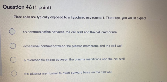 Question 46 (1 point) Plant cells are typically exposed to a hypotonic environment. Therefore, you would expect O no communic