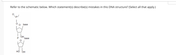 Refer to the schematic below. Which statement(s) describe(s) mistakes in this DNA structure? (Select all that apply.) op Oo b