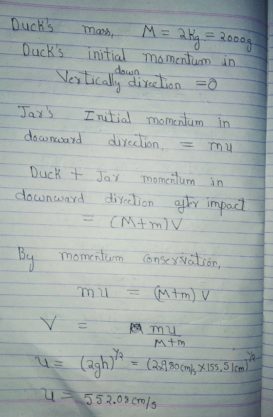 Ducks initial mo menfunn dh icdh elion Co nva sd Duck Jay momcntum in