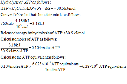 Hydrolysis of ATP as follows: ATP+H,02 ADP+Pi AG=-30.5kJ/mol Convert 760 сal of hot chocolate into kJ as follows: =3.18kJ Rel