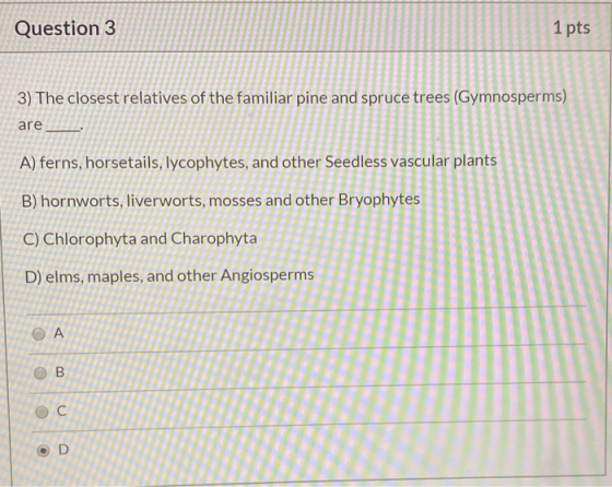 Question 3 1 pts 3) The closest relatives of the familiar pine and spruce trees (Gymnosperms) are A) ferns, horsetails, lycop