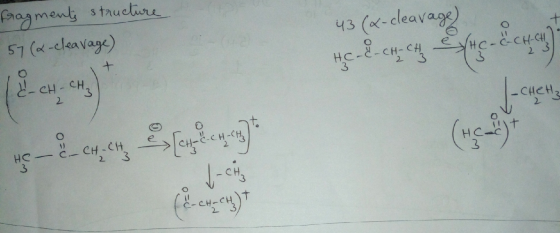 fragments structure 57 (2-cleavage) 43 (x-cleavage HC-8-c4c4 0 -24, Sperl cune) - (&-CH=CH2)