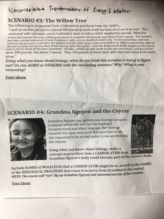 Scenarios ab Trantermakinr of Enorey l Matber SCENARIO #3: The Willow Tree The following is an excerpt from a laboratory note
