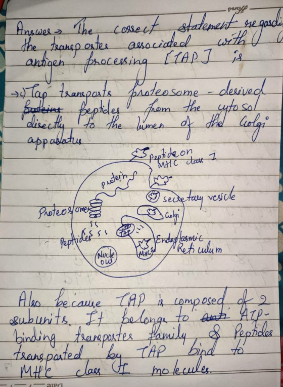 -swaff- Answer the correct statement regarding the transporter associaded with a anticen processing (LAPJ is > Tap transports