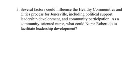 3. Several factors could influence the Healthy Communities and Cities process for Jonesville, including political support, le