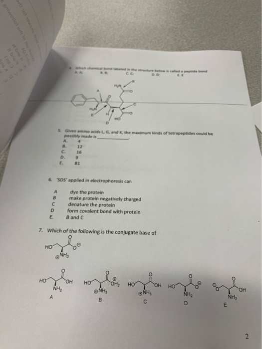 wollo 5. Given amino acids LG, and possibly made is the maximum kinds of tetrapeptides could be B. C. D. E. 12 16 9 81 6. SD