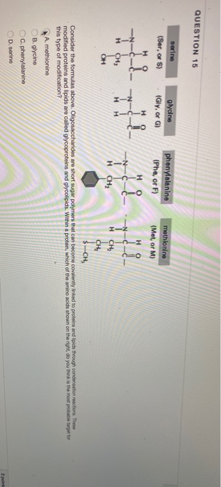 QUESTION 15 serine (Ser, or S) Glycine (Gly, or ) phenylalanine (Phe, or F) methionine (Mat, or M) HO - CH H CHE Ćh $-CH Cons